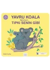 Yavru Koala Öğreniyor Tıpkı Senin Gibi