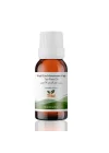 Yeşil Çay Maserasyon Yağı Camellia sinensis 10 g