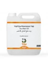 Yeşil Çay Maserasyon Yağı Camellia sinensis 5 kg