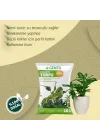 Yeşil Yapraklı Bitkiler İçin Torf Toprak 10 Lt