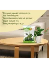Yeşil Yapraklı Bitkiler İçin Torf Toprak 10 Lt
