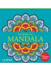 Yetişkinler İçin Mandala - Mavi