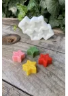 Yıldız Mini Dörtlü Mum Kalıbı (Silikon)