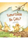 Yumurtadan Ne Çıktı?