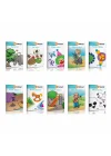 Zekare Smart Görsel Dikkat Seti (6-9 Yaş) (Kapak Değişebilir)