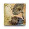 Gramofon Tablosu - 70x70cm