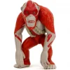 Mey İthalat® Godzilla Kong Figür