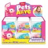 Mey İthalat® Yüzen Axolotl
