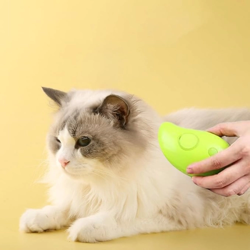 Buharl Kedi Tara