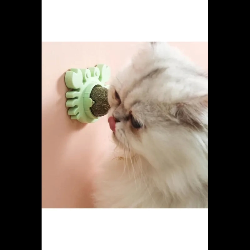 Yenge Kedi Otu Oyun Topu