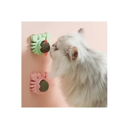 Yenge Kedi Otu Oyun Topu