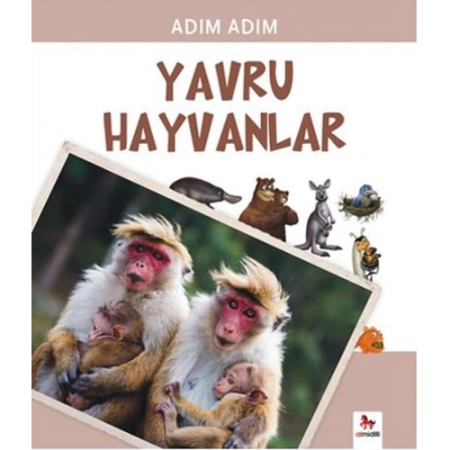 Adım Adım - Yavru Hayvanlar