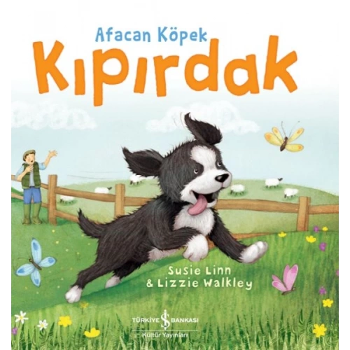 Afacan Köpek Kıpırdak