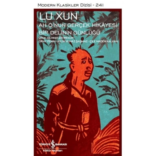 Ah Q’nun Gerçek Hikâyesi ile Bir Delinin Günlüğü - Modern Klasikler Dizisi