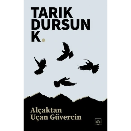 Alçaktan Uçan Güvercin