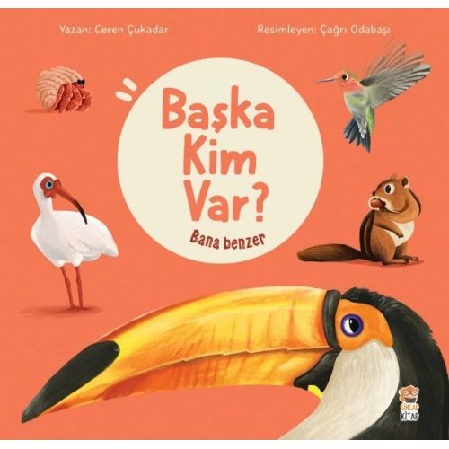 Bana Benzer - Başka Kim Var