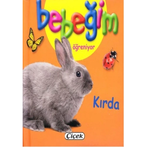 Bebeğim Öğreniyor - Kırda