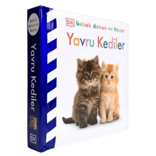 Bebek Dokun Ve Hisset - Yavru Kediler