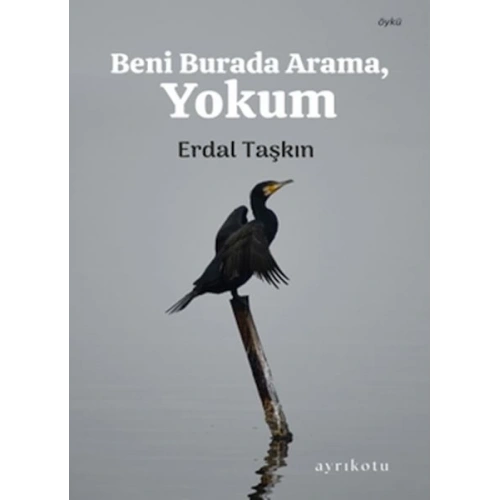 Beni Burada Arama, Yokum