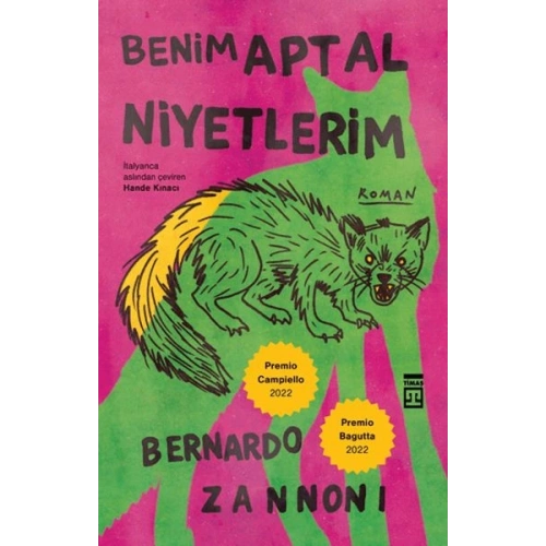 Benim Aptal Niyetlerim