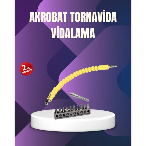 BFS 12 Parça Vidalama Uç Seti Akrobat Tasarım Dayanıklı Metal