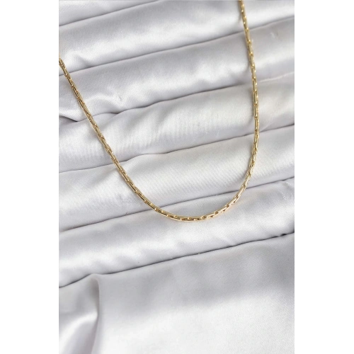 BFS 14K Gold Renk Kaplama İnce Zincir Model CM Kadın Kolye