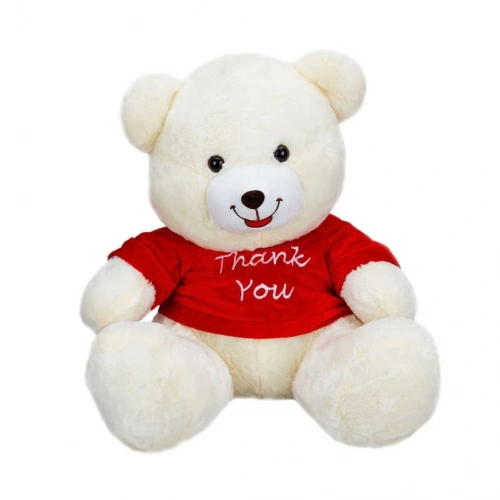 BFS 1506 T-Shirtlü Oturan Peluş Ayı 60 cm -