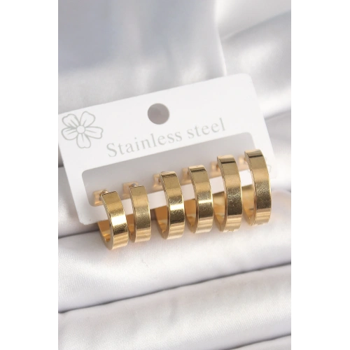 BFS 316L Çelik Gold Renk Halka Model Kadın Küpe Seti
