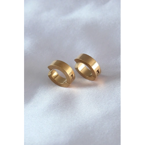 BFS 316L Çelik Gold Renk Sıkıştırmalı Erkek Küpe