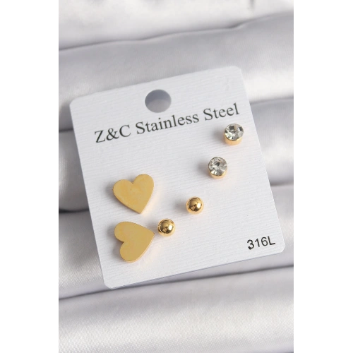 BFS 316L Çelik Gold Renk Zirkon Taşlı Kalpli Kadın Küpe Seti