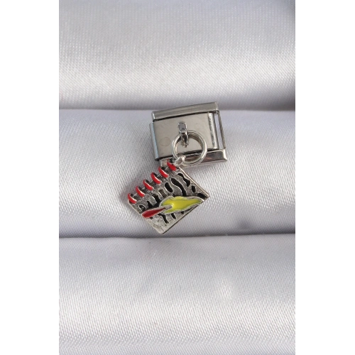 BFS 316L Çelik Gümüş Renk Sallantı Defter Figür Nomination Charm