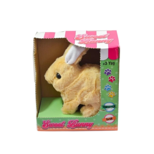 BFS  40098 Tavşan Peluş Pilli-Aya Toys