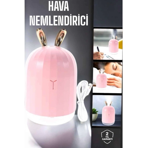 BFS Aromaterapi Hava Temizleyici Buhar Makinesi Taşınabilir Şarjlı