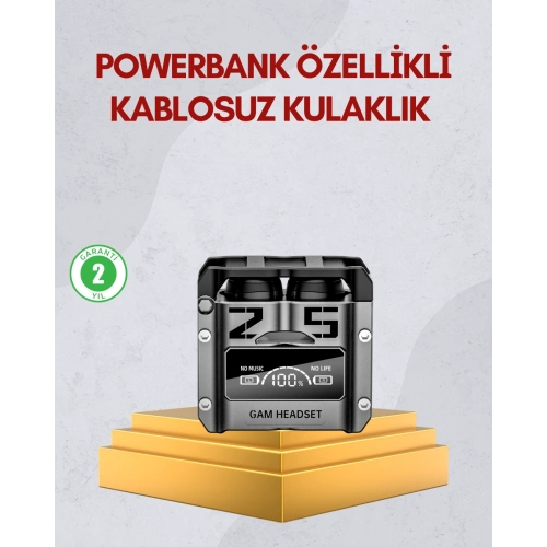 BFS Bluetooth 5.0 Kulak İçi Kulaklık Mikrofonlu Kablosuz Model