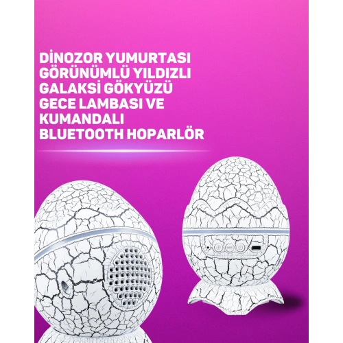 BFS Bluetooth Hoparlör Özellikli 7 Renkli Gece Aydınlatması
