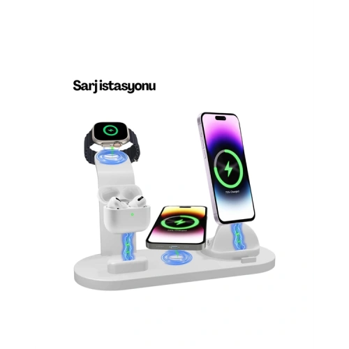 BFS ÇOKLU ŞARJ STANDI