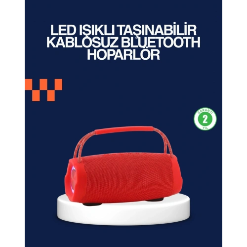 BFS Derin Baslı Çift Hoparlörlü Taşınabilir Kablosuz Hoparlör