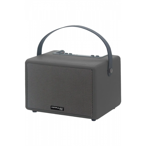 BFS  F31 50W Sürücülü 2 Adet Mikrofonlu BT 5.2 Kablosuz Hoparlör - Siyah