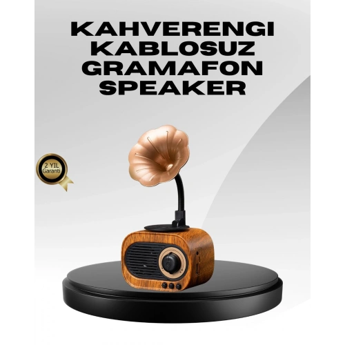 BFS Kablosuz Retro Radyo Hoparlör 5W Güçlü Ses USB Hafıza Kart Destekli