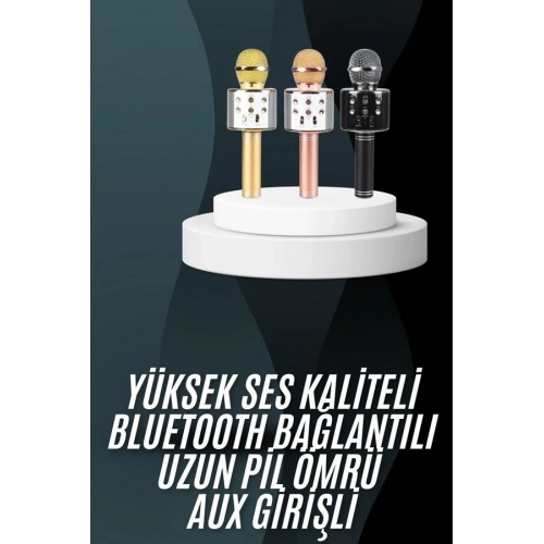 BFS Karaoke Mikrofon Bluetooth Bağlantılı Aux Girişli Uzun Pil Ömrü Yüksek Ses Kaliteli