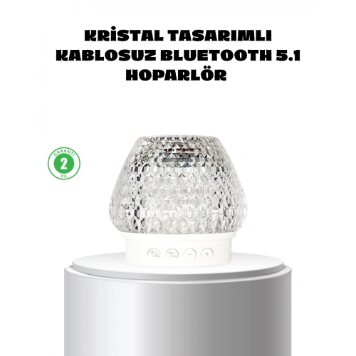 BFS Kristal Desenli LED Işıklı Bluetooth Hoparlör 5W 1200 mAh Taşınabilir