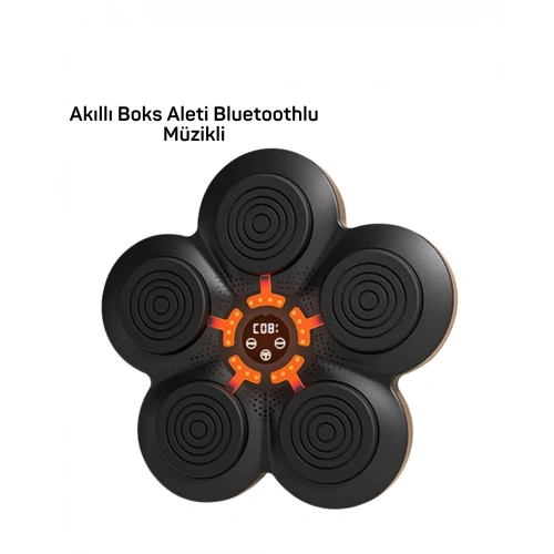 BFS MÜZİK BOX MAKİNESİ