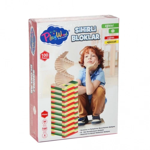 BFS Nessiworld ONY-358	Ahşap 100 Parça Sihirli Bloklar