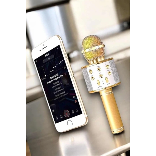 BFS Şarjlı ve Uzun Pil Ömürlü Karaoke Mikrofon USB Bellek Destekli, Profesyonel Ses