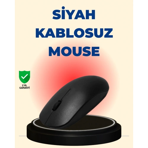 BFS Sessiz ve Ergonomik Mouse – USB Bağlantılı ve DPI Ayarlı