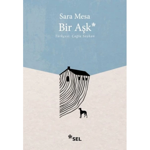 Bir Aşk