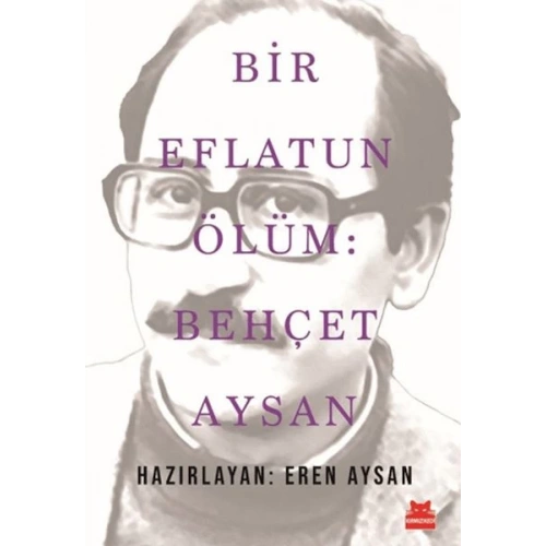 Bir Eflatun Ölüm: Behçet Aysan