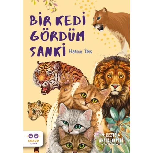 Bir Kedi Gördüm Sanki