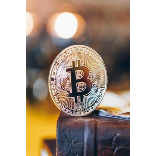 Bitcoin Madeni Hatıra Parası Madeni Bitcoin Hediye Sikke Para