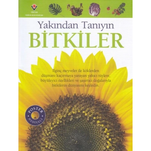Bitkiler - Yakından Tanıyın